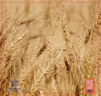 Pure Flour: Healthy and Delicious