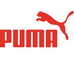 puma online job application