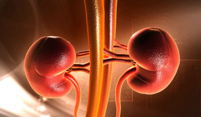 5 Unknown Careless Bad Habits That Can Damage Your Kidney - Life and Trendz | DailyHunt