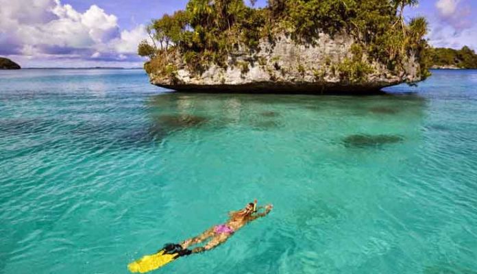 5 Activities You Must Do In Andaman And Nicobar Islands Lifeberrys English Dailyhunt