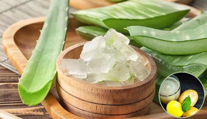 5 Aloe Vera Remedies To Remove Dark Circles Lifeberrys English Dailyhunt 5 aloe vera remedies to remove dark