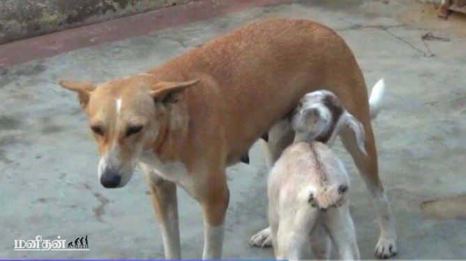 354da692a84afd64e17f49df596d865c239bf254