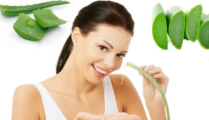 5 Homemade Aloe Vera Face Pack To Get Glowing Skin Lifeberrys English Dailyhunt 5 homemade aloe vera face pack to get