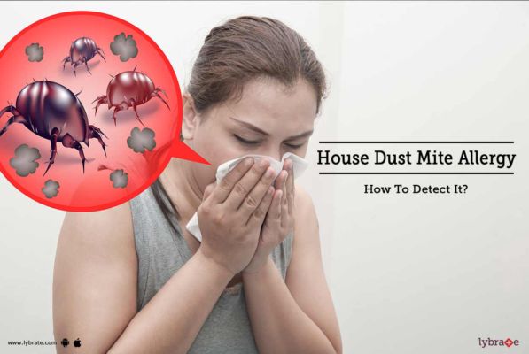 House Dust Mite Allergy How To Detect It Lybrate English Dailyhunt