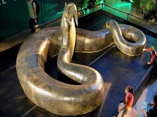 Is The Titanoboa Snake Still Alive Today In Front Of Which The Giant Anaconda Is Also Small News Crab Dailyhunt