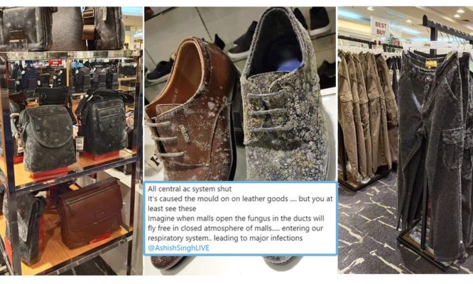 Fact Check Photos Of Mould On Leather Goods In Mall Shared With - How To Get Mold Off Leather Fact Check Photos Of Mould On Leather Goods In Mall Shared With - How To Get Mold Off Leather