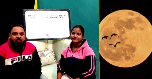 A Man From Rajasthan Bought A Piece Of Land On Moon To Gift His Wife Laughingcolours English Dailyhunt a man from rajasthan bought a piece of