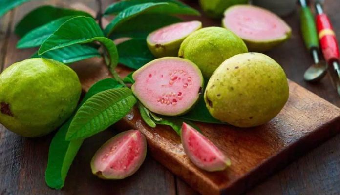 5 Ways To Use Guava Leaves For Quick Hair Growth Lifeberrys English Dailyhunt It is believed that crushing guava leaves and rub them on scalp can prevent hair loss and promote hair growth. use guava leaves for quick hair growth