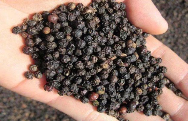 काली मिर्च के 6 टोटके, जिनसे 10 मिनट में दिखेगा असर... - Techno Update | DailyHunt