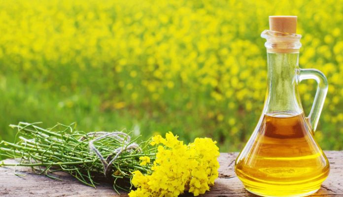 5 Benefits Of Using Mustard Oil For Weight Loss Lifeberrys English Dailyhunt