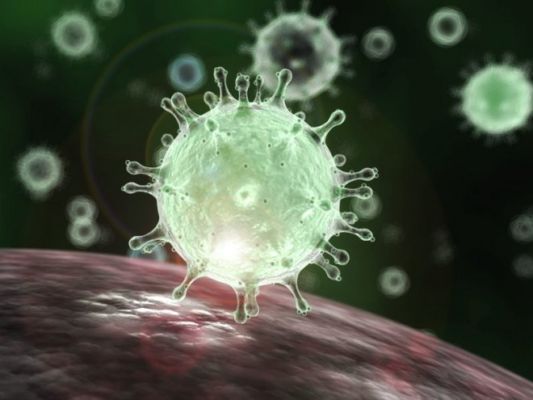 Another Ycp Mla Tests Positive For Coronavirus Smtv English