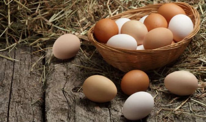 मांस और अंडे से बेहतर शाकाहारियों के लिए प्रोटीन का सर्वश्रेष्ठ स्रोत