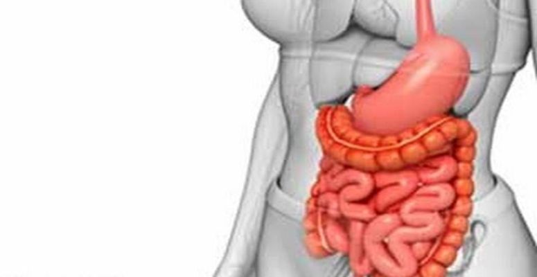 15 दिनों में 1 बार अपने आंतों की सफाई ज़रूर करें – ये है तरीका