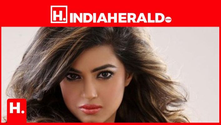 Meera Chopra In Bigg Boss 4 Apherald Dailyhunt