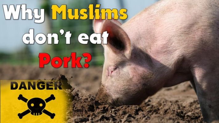 Real Reason Why Muslim Don T Eat Pig Meat Touch Or Even Take Name Of It Tezz Buzz English Dailyhunt