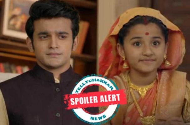 Barrister Babu In English 2025