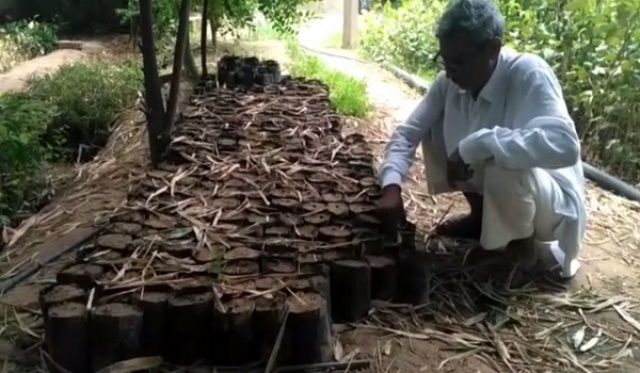 पर्यावरण संरक्षण के लिए कर ली पौधों से दोस्ती, 9 सालों में लगाए पैंतालीस  हजार पौधे - First India News | DailyHunt