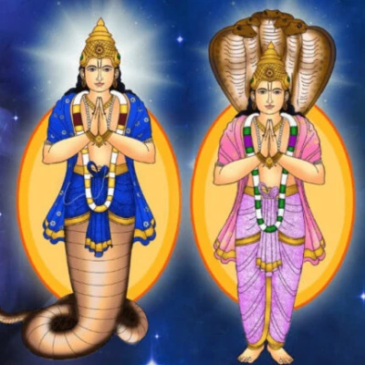 ନୂଆ ପାଞ୍ଜିରେ ଚଳିତ ବର୍ଷ ୪ଟି ପରାଗ ଓ ଗ୍ରହଣ