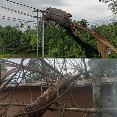 Thunderstorm hits Meghalaya's South West Garo Hills; 76 affected, houses damaged