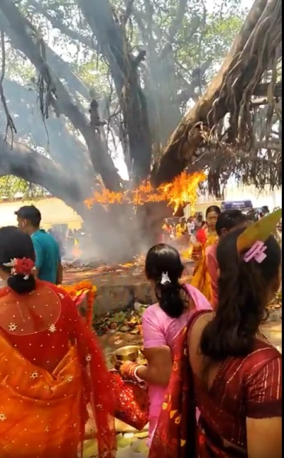 పూజలో వెలిగించిన దీపమే ప్రమాదం.. బీహార్‌లో మర్రిచెట్టుకు మంటలు