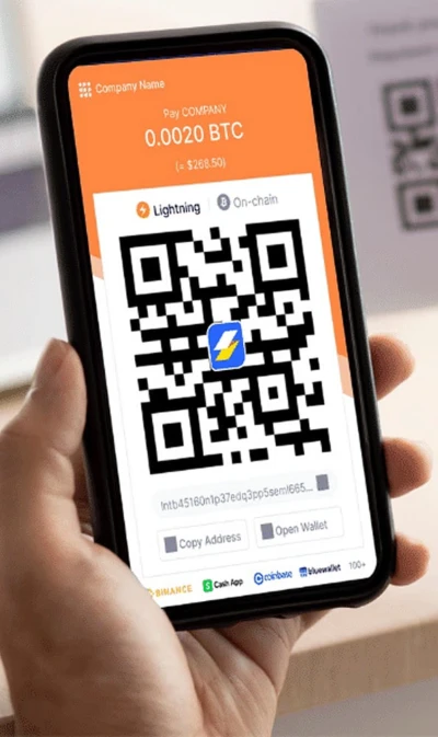 How to Accept Online Payments Without a Website