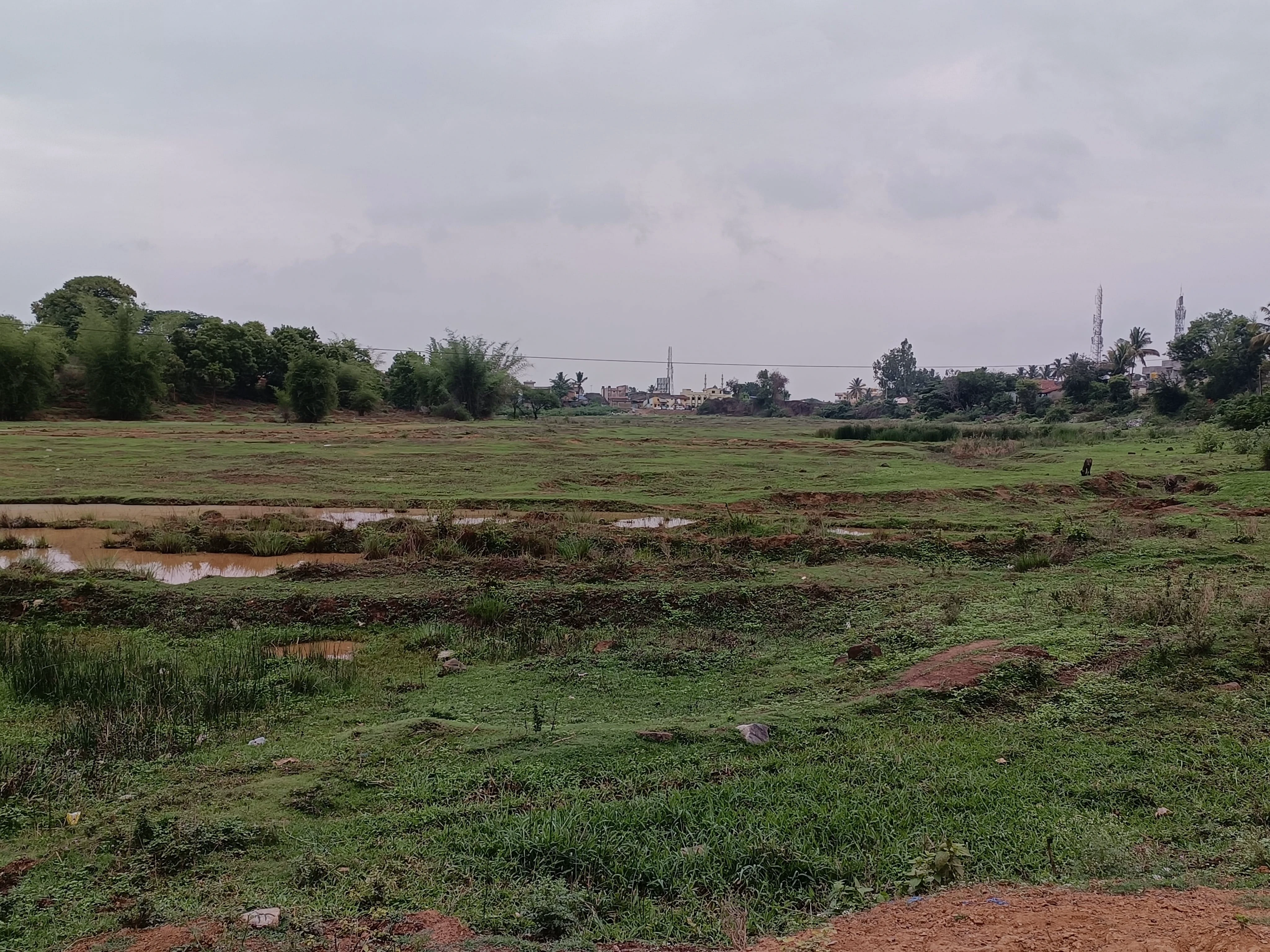 ಎಂ.ಕೆ‌.ಹುಬ್ಬಳ್ಳಿ | ಹೆಸರಷ್ಟೇ 'ತುಂಬು'ಕೆರೆ, ವರ್ಷವಿಡೀ ಖಾಲಿ