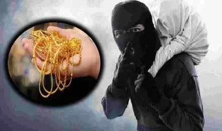 Vizag Crime News: మధురవాడలో భారీ చోరీ