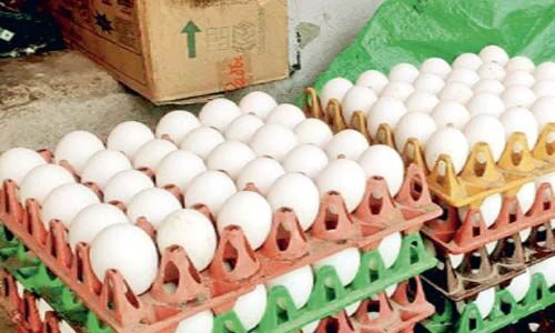 अंडे का फंडा, सावन में आधा हो गया धंधा कोल्ड स्टोरेज में रखने पड़े दस करोड अंडे