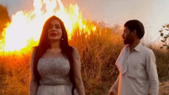 To smoke out snakes: Pakistani TikTok star issues clarification of forest fire after backlash - Watch