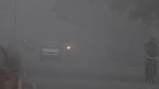 Dense to very dense fog likely as north India shivers in cold wave | 5 points