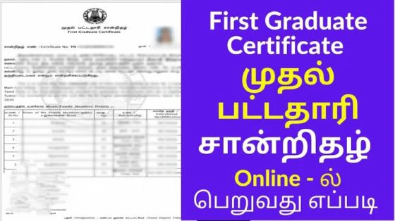 முதல் பட்டதாரி சான்றிதழ் பெறுவது எப்படி? அதற்கான விதிமுறைகள்!!