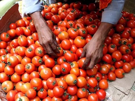 Tomato Prices: टमाटर के दामों में लगी आग और भड़केगी, 300 रुपये प्रति किलो तक जा सकते हैं दाम