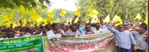 ମିଳିଲାନି ଟୋକନ, ଉଠିଲାନି ଧାନ : ତାତିଲେ ଚାଷୀ