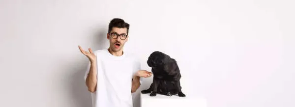Why Dogs Tilt Their Heads When You Talk