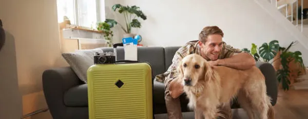 Pet Travel Essentials Every Owner Needs