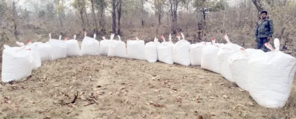 ଦୁଇମାସରେ ୧୩୪୬ କୋଟିର ଗଞ୍ଜେଇ ଜବତ