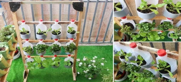 Don't Toss Your Old Phenyl Bottles! 3 Creative Ways to Turn Trash into Stunning Balcony Decor