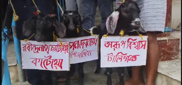 বিস্ফোরক! অরূপ-স্বপন-রবির নামে ৩ পাঁঠা বলি দিয়ে মন্দিরে তৃণমূলের প্রাক্তন বিধায়ক! কেন এই 'ভয়ঙ্কর' মানত?