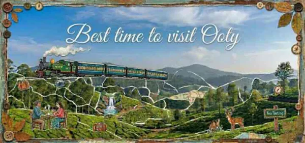 When Is the Best Time to Visit Ooty? A Seasonal Guide for Every Traveller