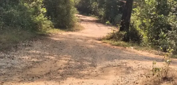 ಉದನೆ ಸೇತುವೆ ಬಹುತೇಕ ಪೂರ್ಣ; ರಸ್ತೆಯದ್ದೇ ಗೋಳು