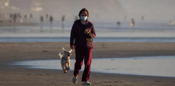 Covid-19 wrecked 2020. Will 2021 be different?