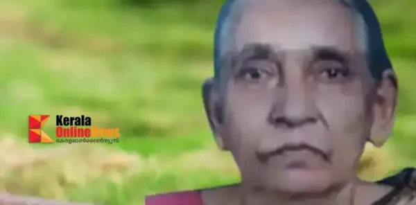 വീണ്ടും പാമ്പുകടിയേറ്റ് മരണം; കണ്ണൂരില് വയോധിക ചികിത്സയിലിരിക്കെ മരിച്ചു