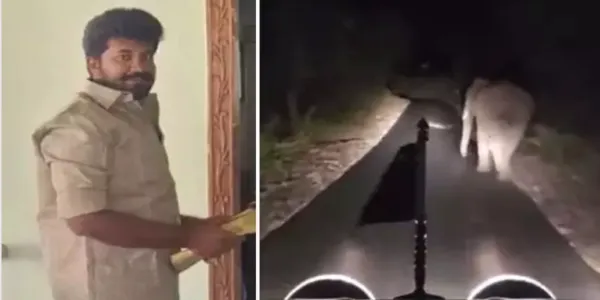 காரில் யானையை விரட்டிய அதிமுக பிரமுகர்: அபராதம் விதித்த வனத்துறை!