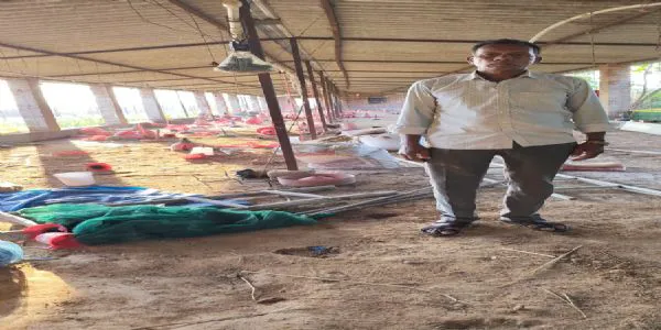 ہاتھی کے حملے میں ایک شخص زخمی؛ ہوٹل اور پولٹری فارم میں ہاتھی نے توڑ پھوڑمچائی