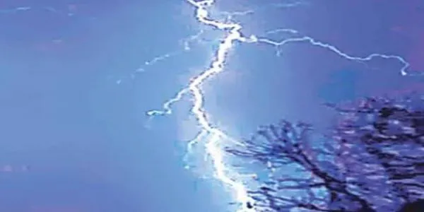 بے موسم بارش کی تباہی، کیج تعلقہ میں درخت گرنے سے کسان کی موت