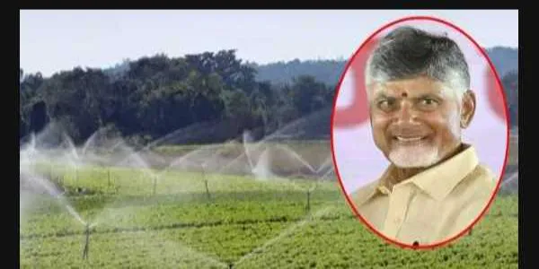 సూక్ష్మ సేద్యంలో ఏపీ టాప్.. అధికారులకు సీఎం అభినందనలు