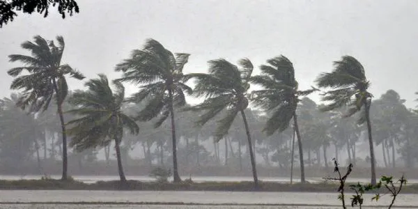 Southwest monsoon likely to reach Kerala by Wednesday