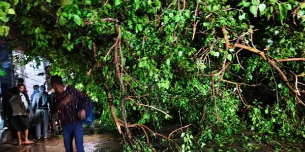 تیزآندھی نے بڑے پیمانے پر تباہی مچائی، کئی مقامات پر اکھڑ ےدرخت