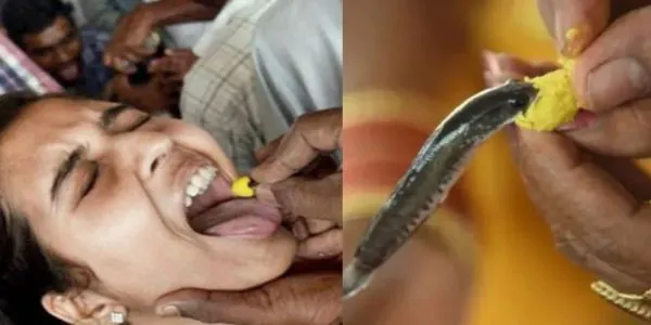 'చేప ప్రసాదం' కోసం సిద్ధమవుతున్న హైదరాబాద్