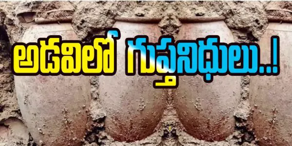 అర్ధరాత్రి టైగర్ రిజర్వ్ అడవిలో  - బయటపడ్డ గుప్త నిధుల మట్టికుండలు